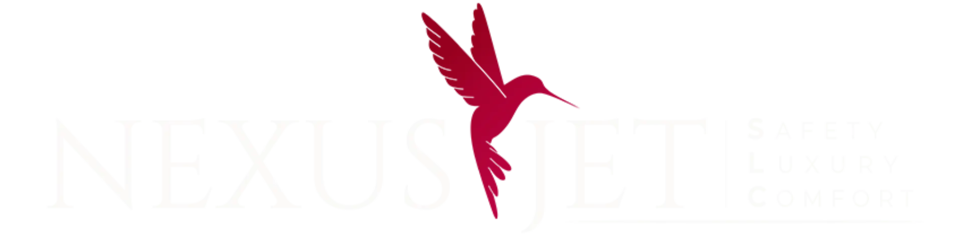 NexusJet_logo